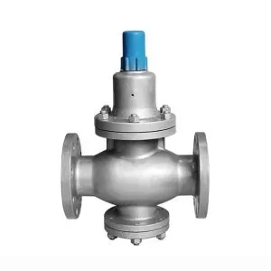 Cụm van điều chỉnh áp suất hai chiều tiêu chuẩn DN40